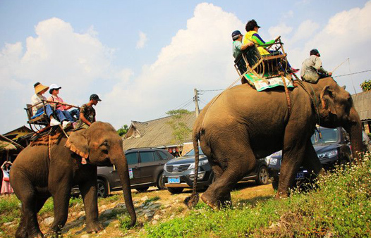 老挝琅勃拉邦4天3晚家庭游+大象营