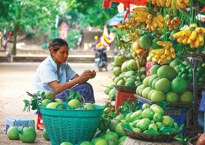 柬埔寨水果