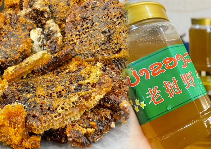 老挝野生蜂蜜