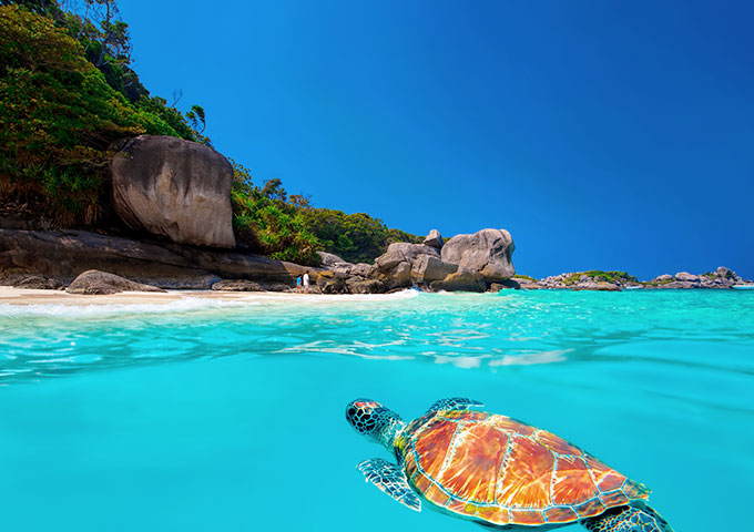 海洋生物探索